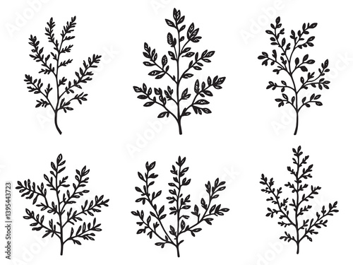 Heather line art depicting elegance and simplicity in design 