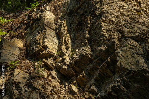 Obraz na płótnie dettagli di un'antica parete rocciosa di montagna dalle sfumature di colore marrone chiaro e grigio w salonie