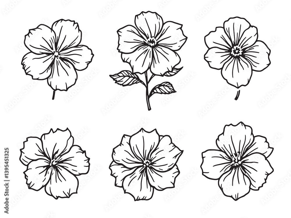 Obraz premium Impatiens Line Art Floral Beauty in Delicate Black and White 