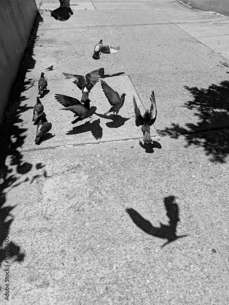 New York City, NY, USA