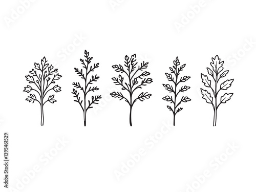 Alfalfa Sprouts line art botanical fresh organic growth hand drawing 