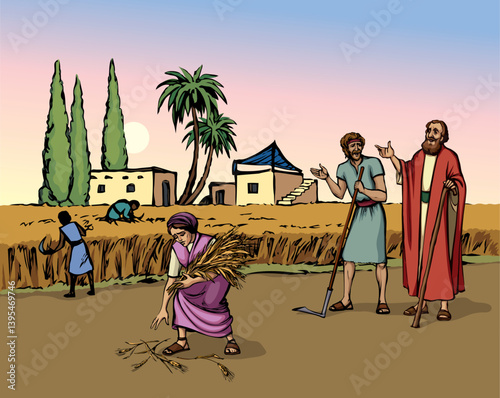 Vector drawing. Ruth and Boaz in the field