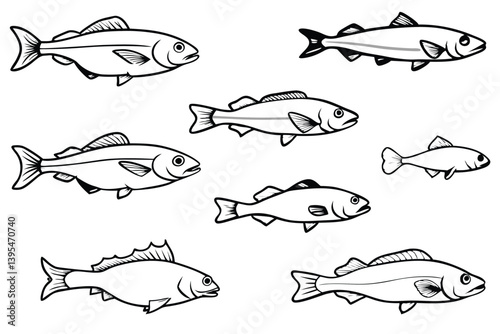 Set of Fish line art illustration 
