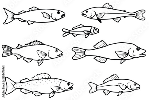 Set of Fish line art illustration 