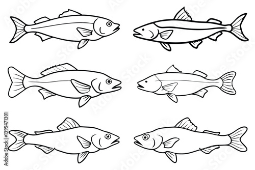 Set of Fish line art illustration 