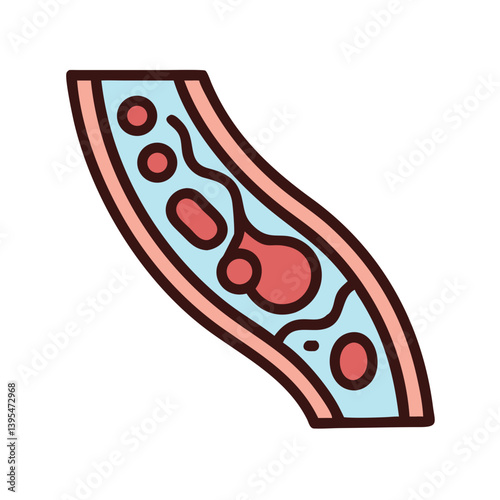 Artery and Vein Cross Section Icon Design