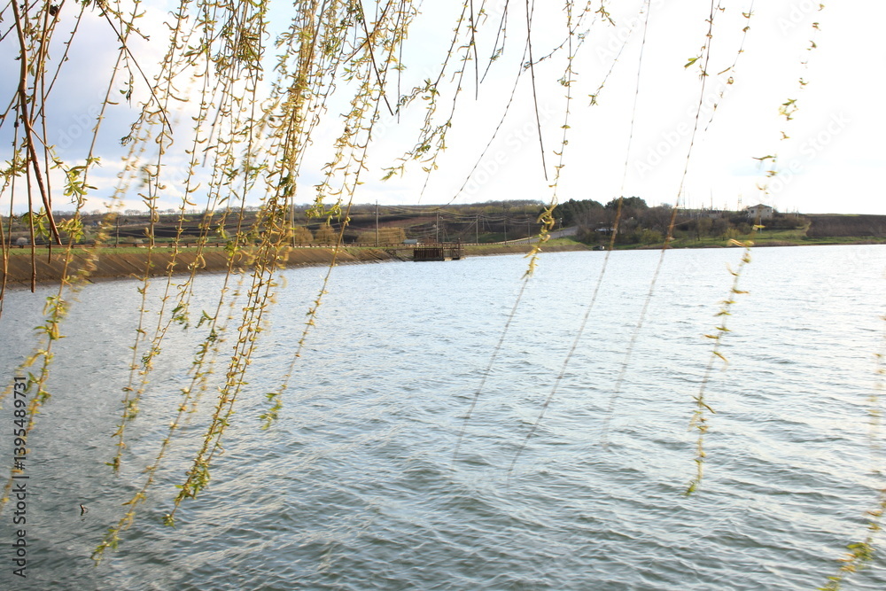 A body of water with trees in the background