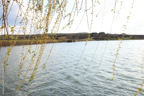 Obraz na płótnie A body of water with trees in the background w salonie