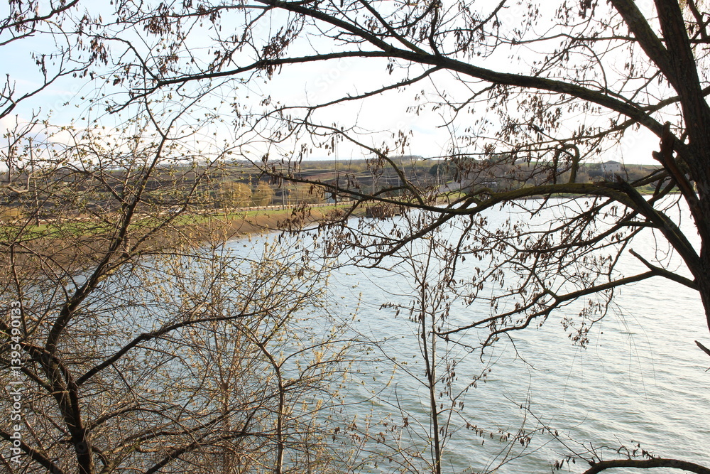 A body of water with trees around it
