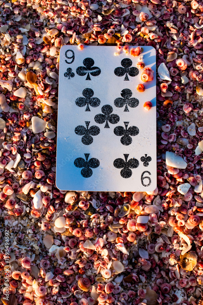 Poker or Blackjack cards, 9 of clubs, a single playing card among small pink shells forgotten on a beach