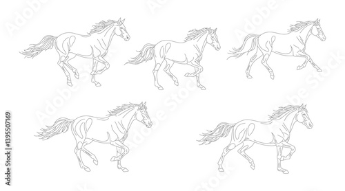 simple line art horses illustration