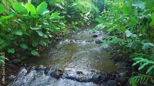 Beautiful River