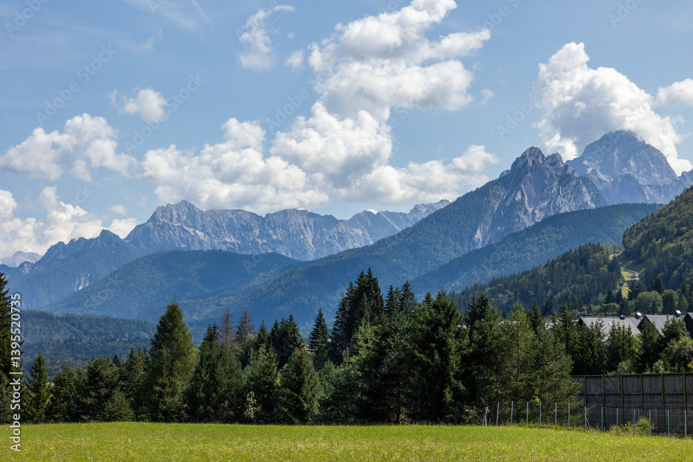 vista dettagliata di un ambiente naturale di montagna tra le Alpi del nord-est Italia, in Friuli Venezia Giulia, di giorno, con cielo parzialmente nuvoloso, in estate