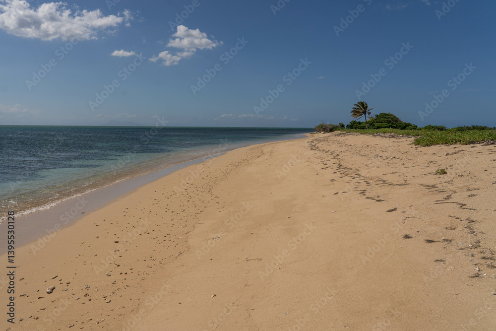 Sandy beach with a palm tree on one of the Seven Brothers Islands. Dominican Republic. Sandy beach with a palm tree on one of the Seven Brothers Islands. Dominican Republic.