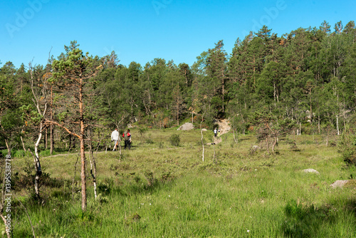 Obraz na płótnie Group of Hikers Crossing a Scenic Small Forest on Preikestolen Hiking Trail, Stavanger, Norway, July 2018 w salonie