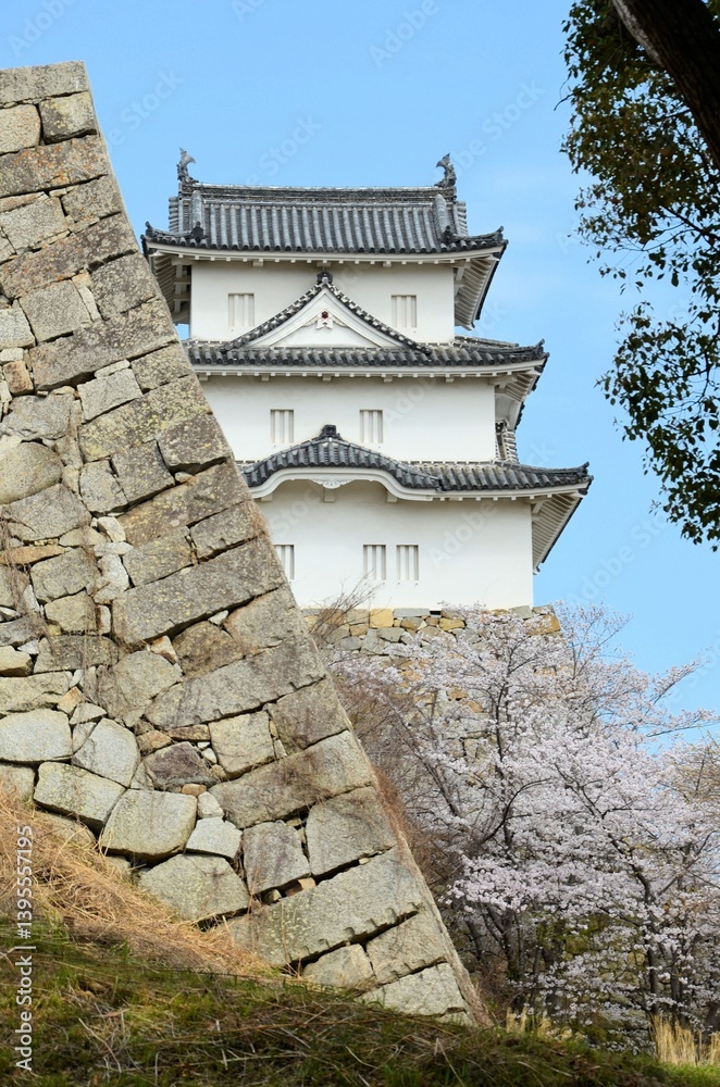 明石城 坤櫓と石垣 明石城 坤櫓と石垣