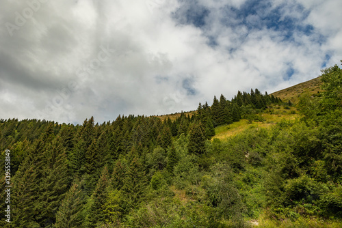 Obraz na płótnie panoramica dal basso su pendii erbosi di una montagna, con fitte foreste di abeti, di giorno, nel nord Italia, sotto un cielo nuvoloso, in estate w salonie