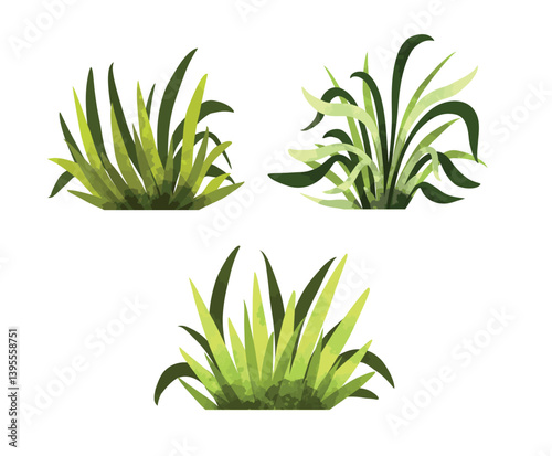 set of watercolor bush and different type of grass vector illustration