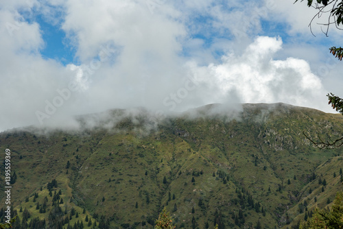 vista panoramica su un ambiente naturale di montagna tra le Alpi nel nord Italia, nella regione Friuli Venezia Giulia, di giorno, in estate, con cielo nuvoloso