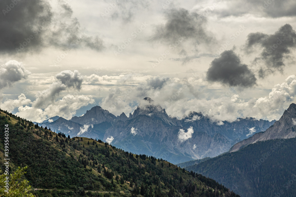 vista dettagliata su un ambiente naturale di montagna tra le Alpi nel nord Italia, nella regione Friuli Venezia Giulia, di giorno, in estate, con cielo nuvoloso