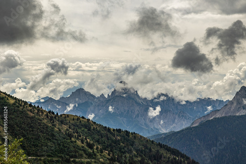 vista dettagliata su un ambiente naturale di montagna tra le Alpi nel nord Italia, nella regione Friuli Venezia Giulia, di giorno, in estate, con cielo nuvoloso