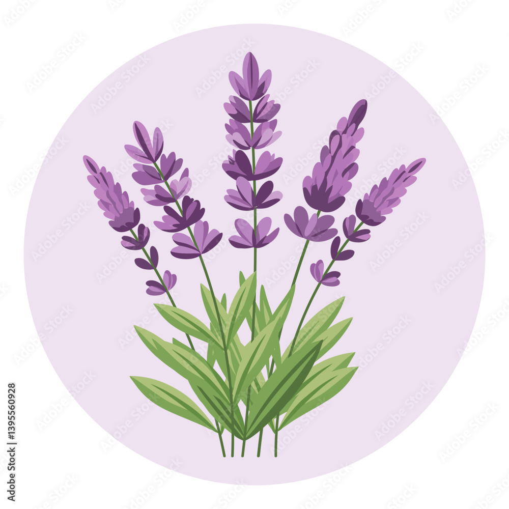 Naklejka premium A bunch of beautiful lavender flowers. Lavender flowers icon. Illustration for a wedding invitation, postcard, logo.