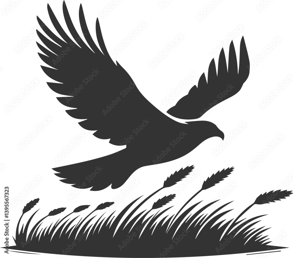 Obraz premium Silhouette of a hawk bird animal vector