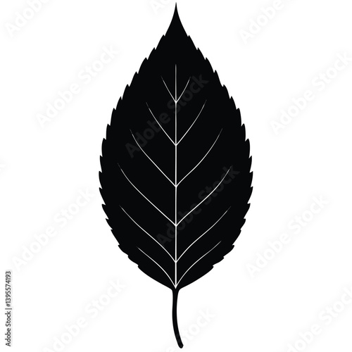 Chinese elm Leaf Silhouette Vector - Minimalist Nature Design