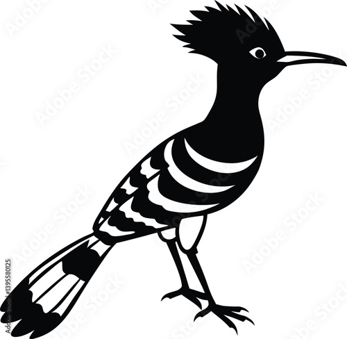 hoopoe bird silhouette with white background