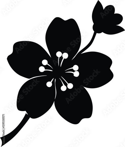 Cherry blossom  with white background