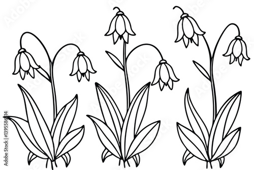 Set of bluebell line art 