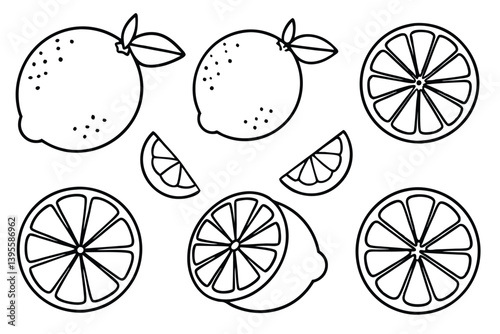  lime line art fresh fruit design in simplicity.
