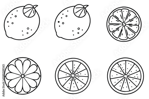 lime line art tropical fruit outlined in detail.