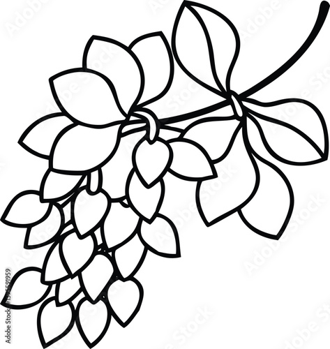 wallflower, waxflower, verbena, wisteria , flower logo