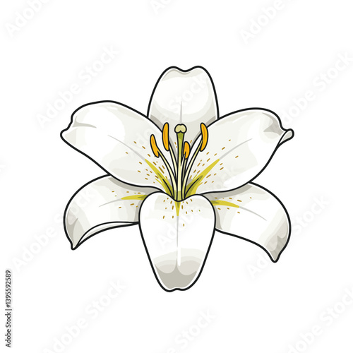 Graceful White Lily: An illustration of a pristine white lily, perfectly captures the flower's delicate beauty.