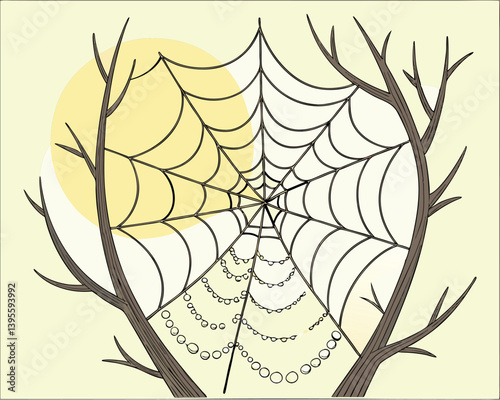 Spiderweb stretched between bare tree branches in a natural setting.