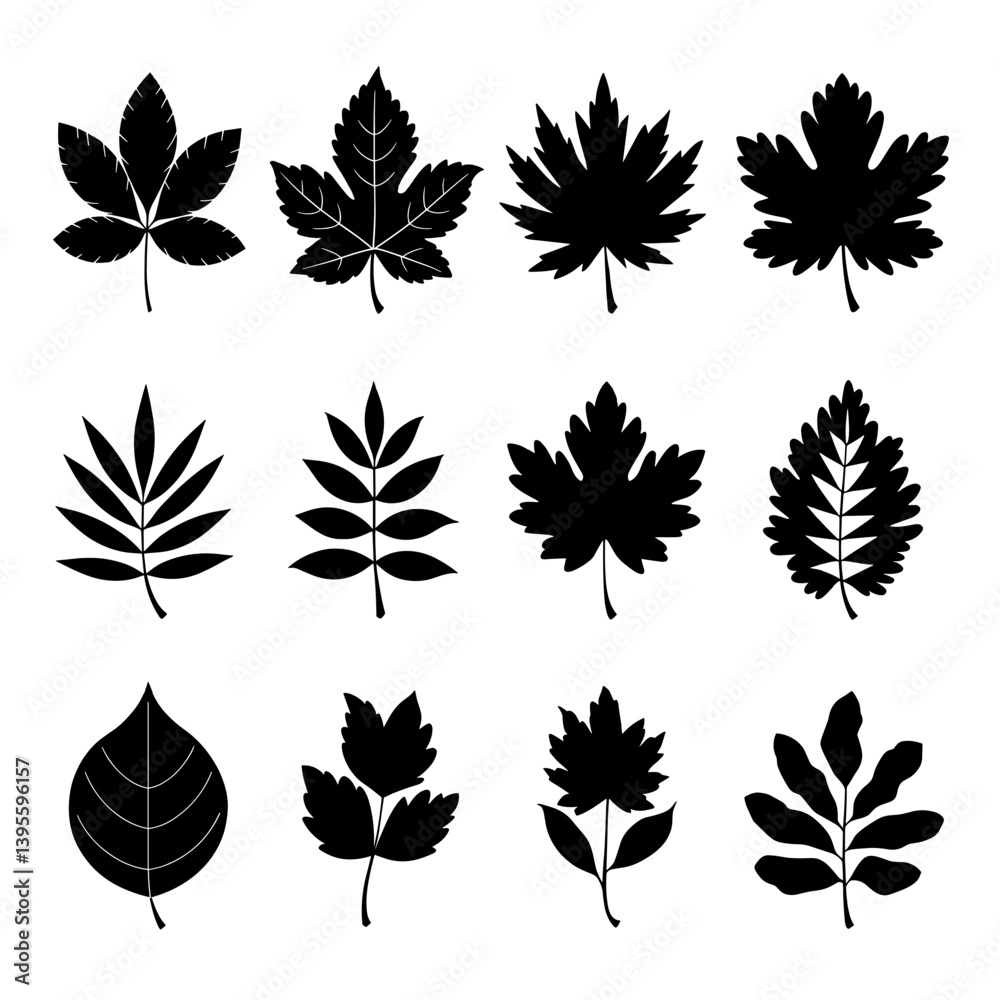 Obraz premium Leaf Silhouette Vector Bundle Black and White Leaf Clipart EPS Illustration
