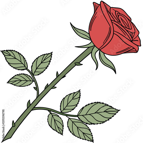 Uma rosa vermelha aberta, com galho e folhas verdes. Dia das mães, dia dos namorados, floricultura, casamento, amor, paixão. Plantas, botânica, jardins. 