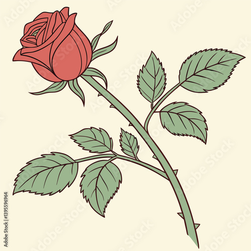Uma rosa vermelha aberta, com galho e folhas verdes. Dia das mães, dia dos namorados, floricultura, casamento, amor, paixão. Plantas, botânica, jardins. 