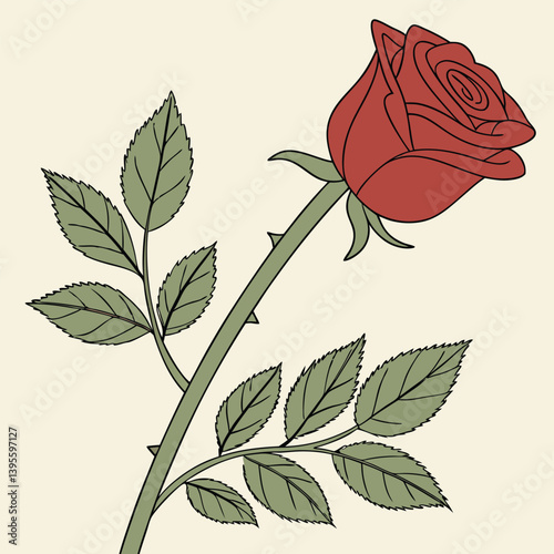 Uma rosa vermelha aberta, com galho e folhas verdes. Dia das mães, dia dos namorados, floricultura, casamento, amor, paixão. Plantas, botânica, jardins.
