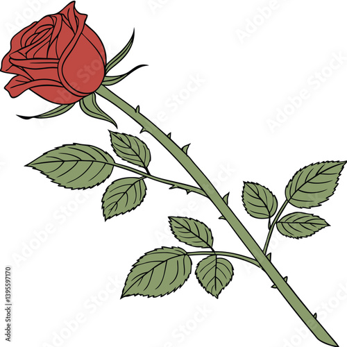 Uma rosa vermelha aberta, com galho e folhas verdes. Dia das mães, dia dos namorados, floricultura, casamento, amor, paixão. Plantas, botânica, jardins. 