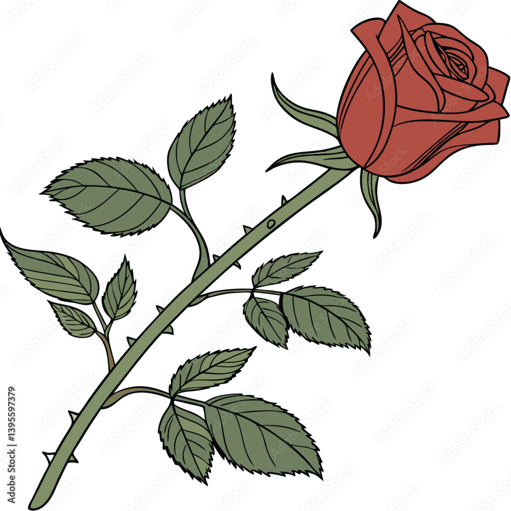 Uma rosa vermelha aberta, com galho e folhas verdes. Dia das mães, dia dos namorados, floricultura, casamento, amor, paixão. Plantas, botânica, jardins. 