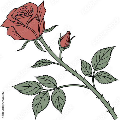 Uma rosa vermelha aberta, com galho e folhas verdes. Dia das mães, dia dos namorados, floricultura, casamento, amor, paixão. Plantas, botânica, jardins. 