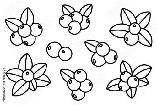 lingonberry line art vintage sketch with delicate features.