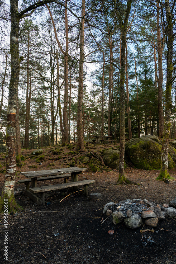 Bench and camp fire in the forest Bench and camp fire in the forest