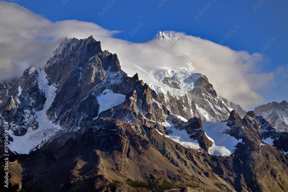 Obraz premium Fauna, flora, and landscapes of the Magallanes and Torres del Paine region