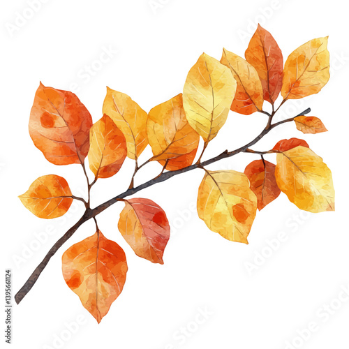 Golden Rain Tree branch, watercolor illustration, isolated on a white background.

