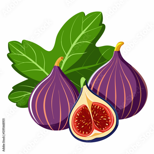 Fig isolated vector white background