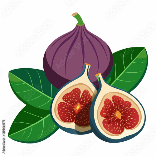 Fig isolated vector white background