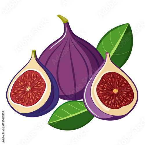 Fig isolated vector white background